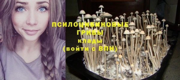 первитин Белоозёрский