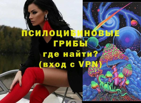 spice Беломорск