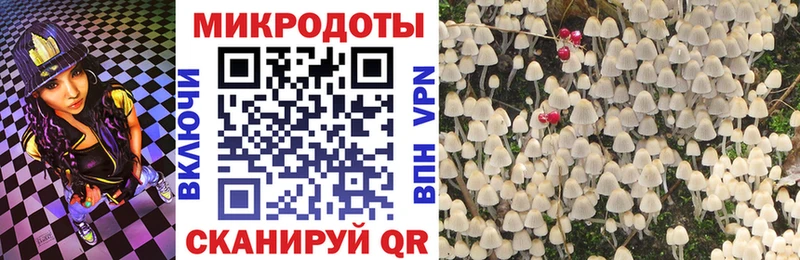 Псилоцибиновые грибы Magic Shrooms  mega сайт  Динская  где продают  